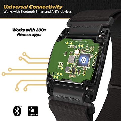 Scosche Rhythm R+2.0: Waterproof/Dustproof Armband with ANT+ & BLE Bluetooth Smart for Hyper Accurate Workout Heart Rate Monitoring with Wahoo, Peloton, LED Monitor, DDP Yoga, Strava & More